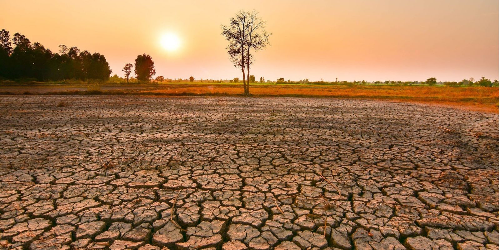 Το Φαινόμενο El Niño και ο Ρόλος του στην Κλιματική Αλλαγή