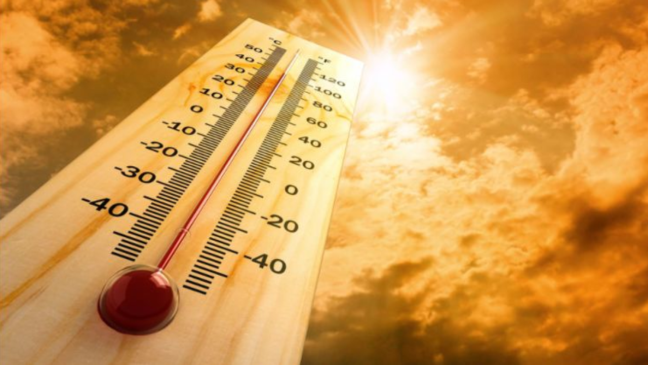 Η θερμότερη χρονιά εδώ και 125.000 χρόνια