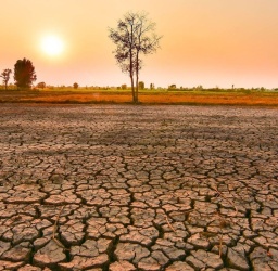 Το Φαινόμενο El Niño και ο Ρόλος του στην Κλιματική Αλλαγή