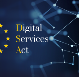 The Digital Services Act: Prelude – Purpose – Progress – Problems